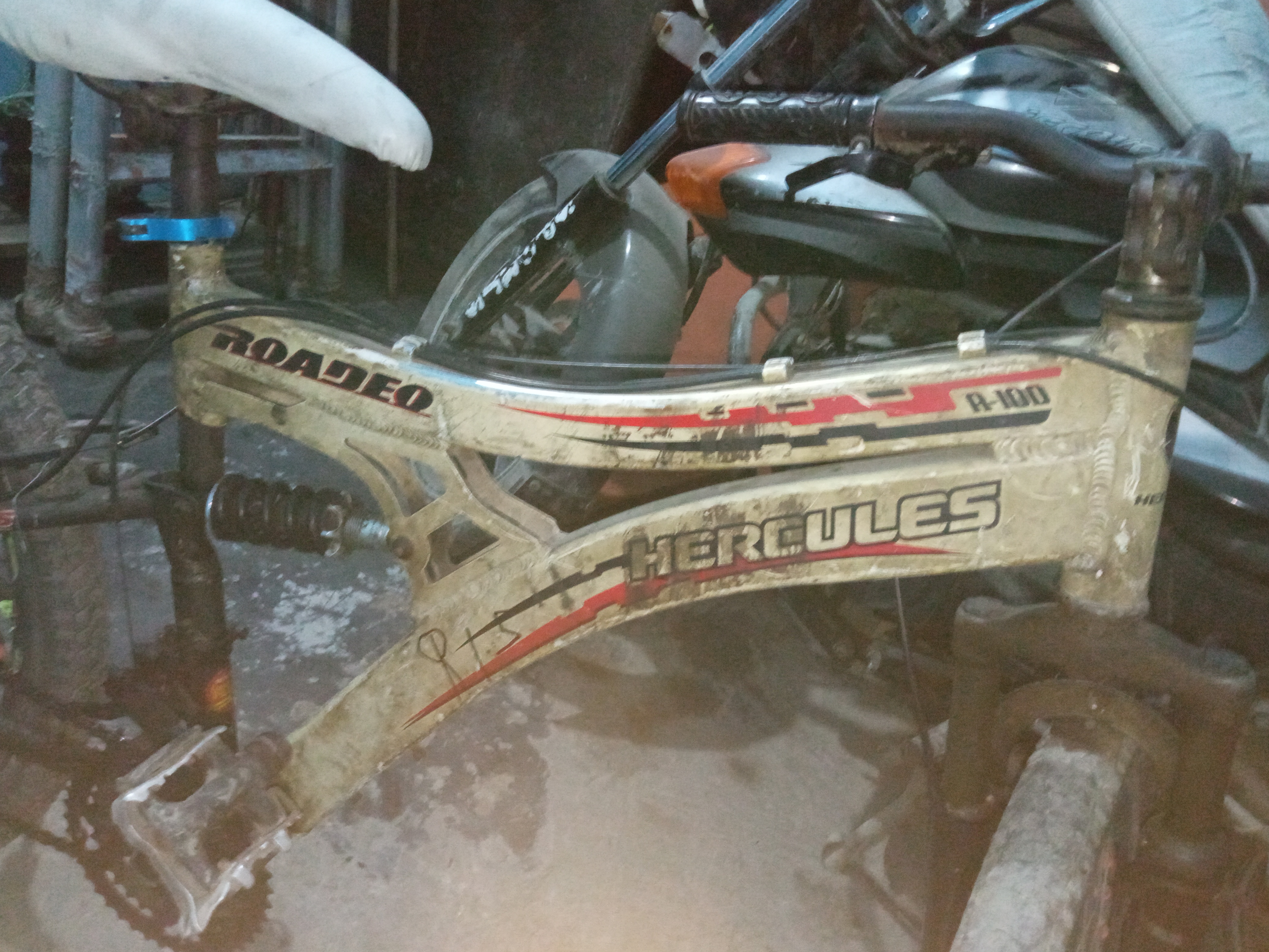 Hercules 2021 availbale for sale