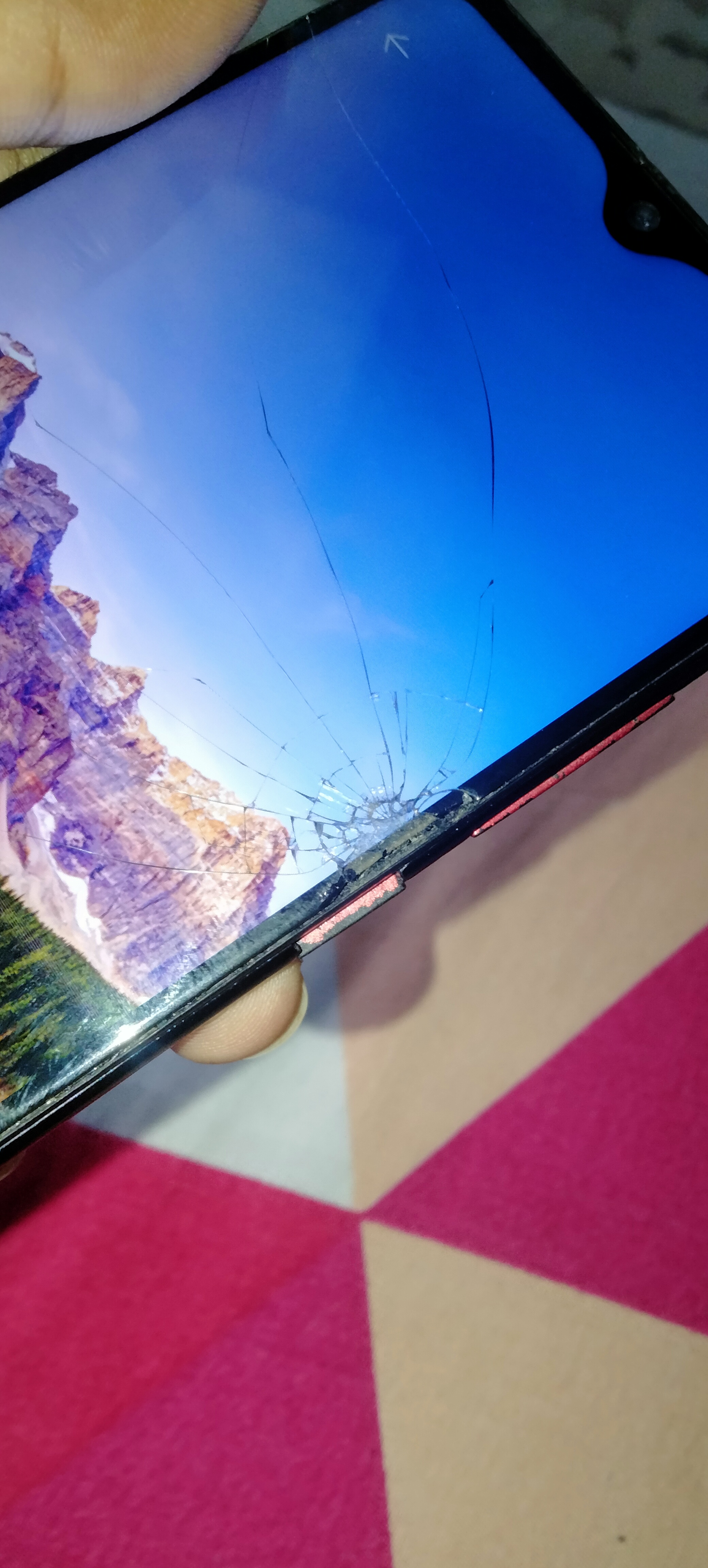 Vivo Vivo y95 available for sale