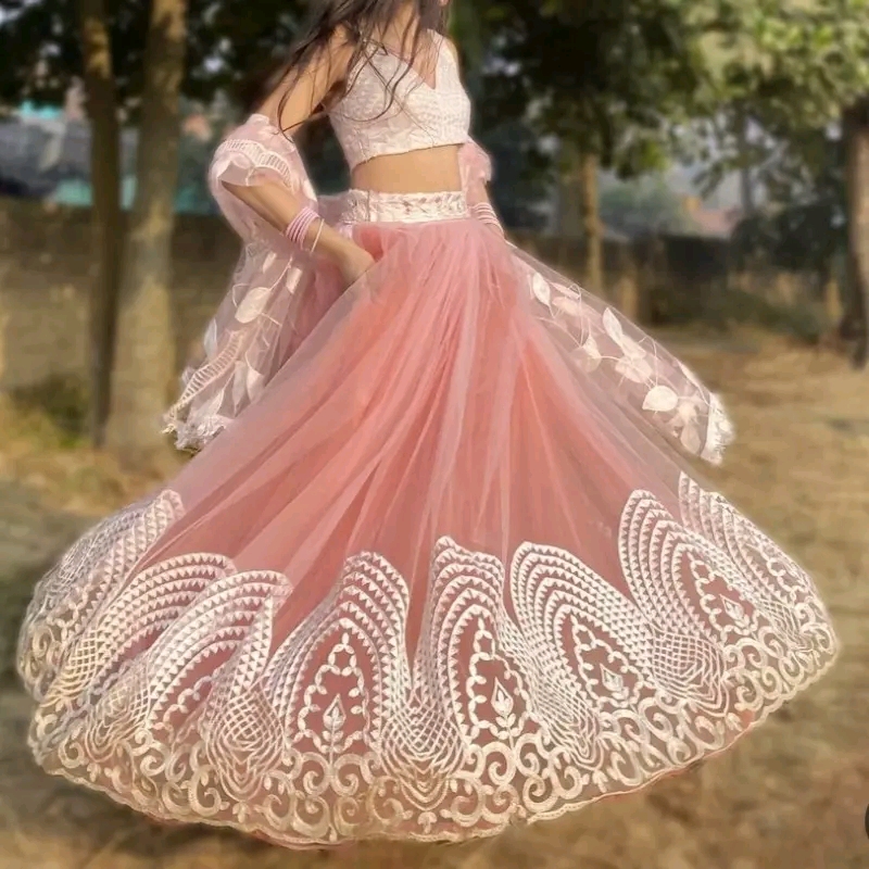 Heavy Embroidery Work Net Saree  available for sale