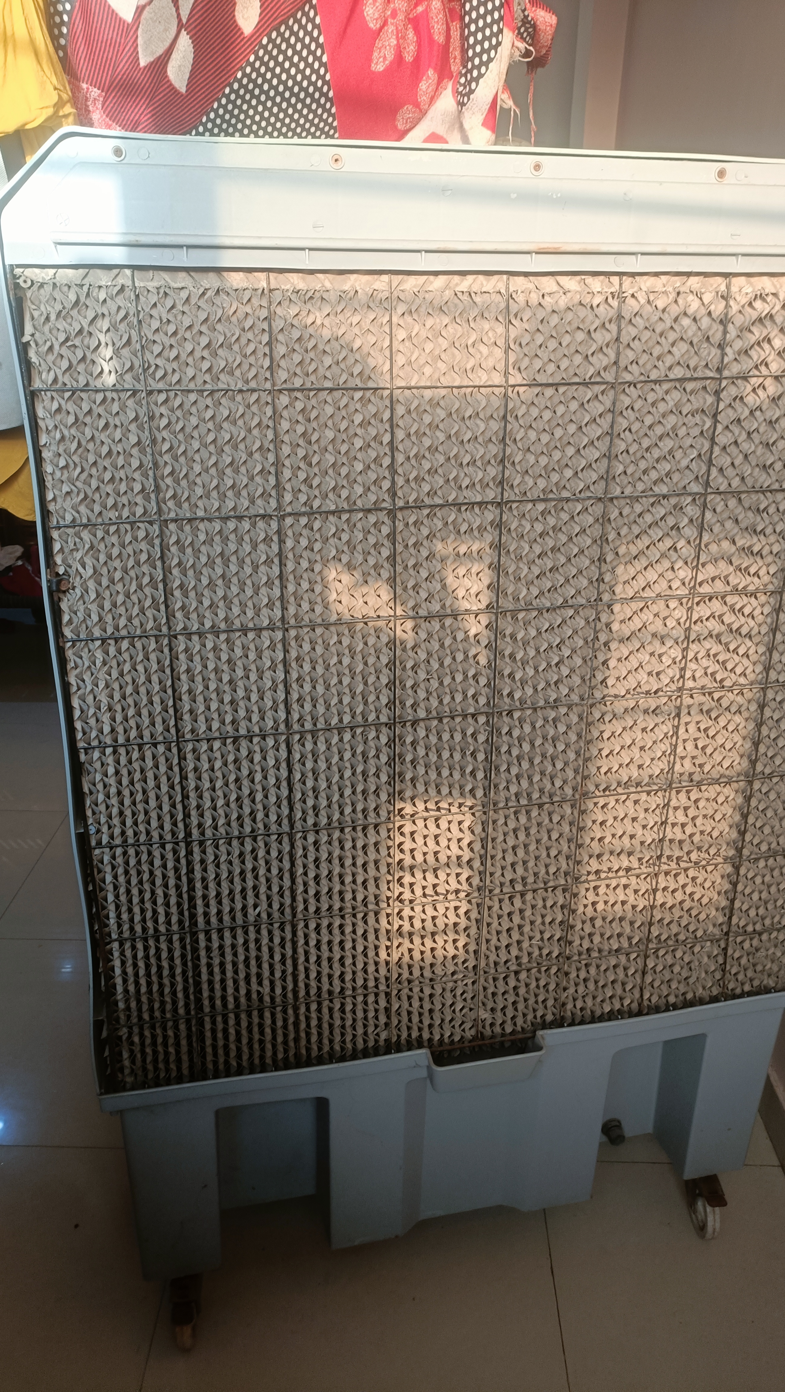 Cooler available for sale