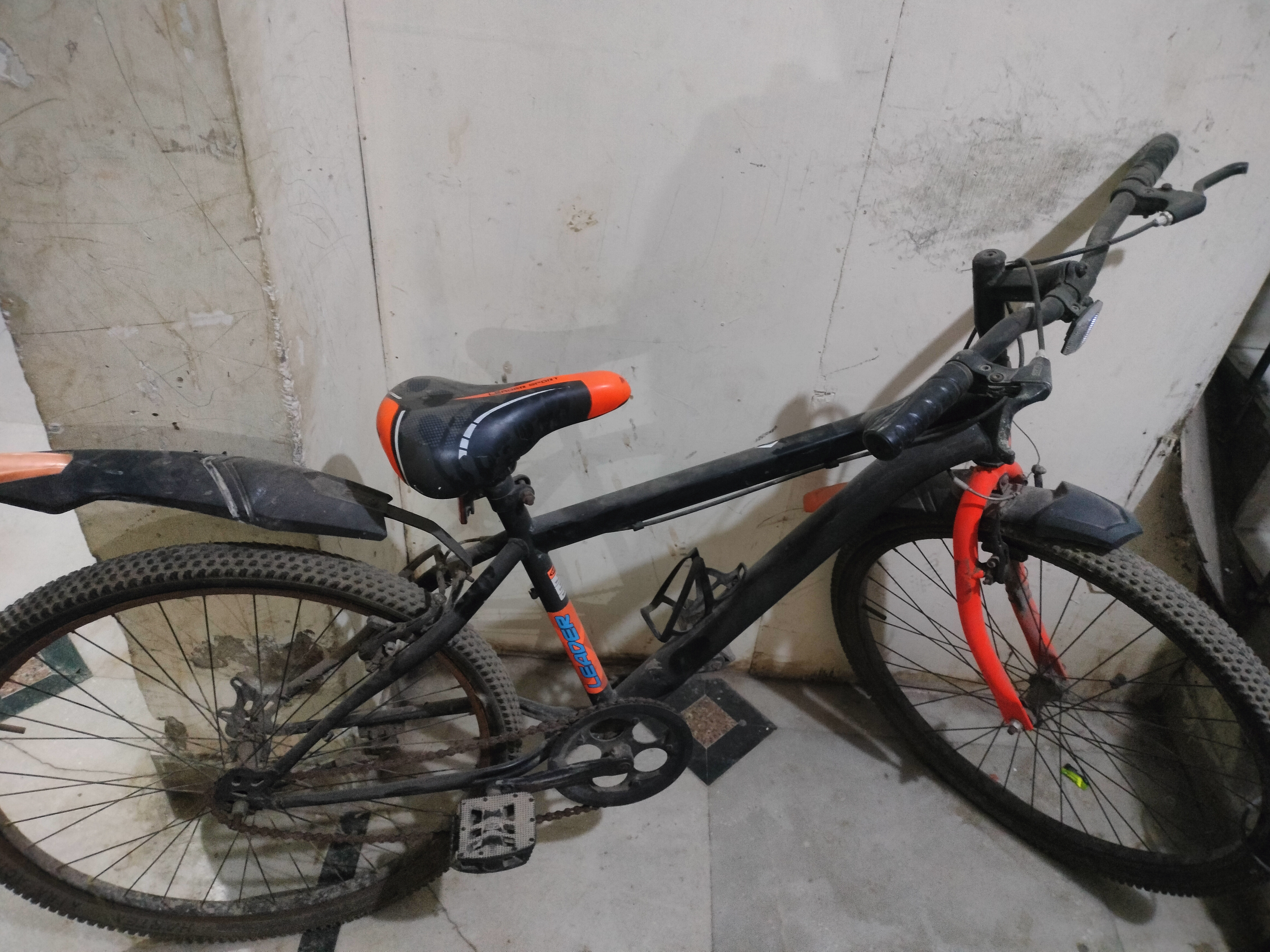 leader Leader sports availbale for sale