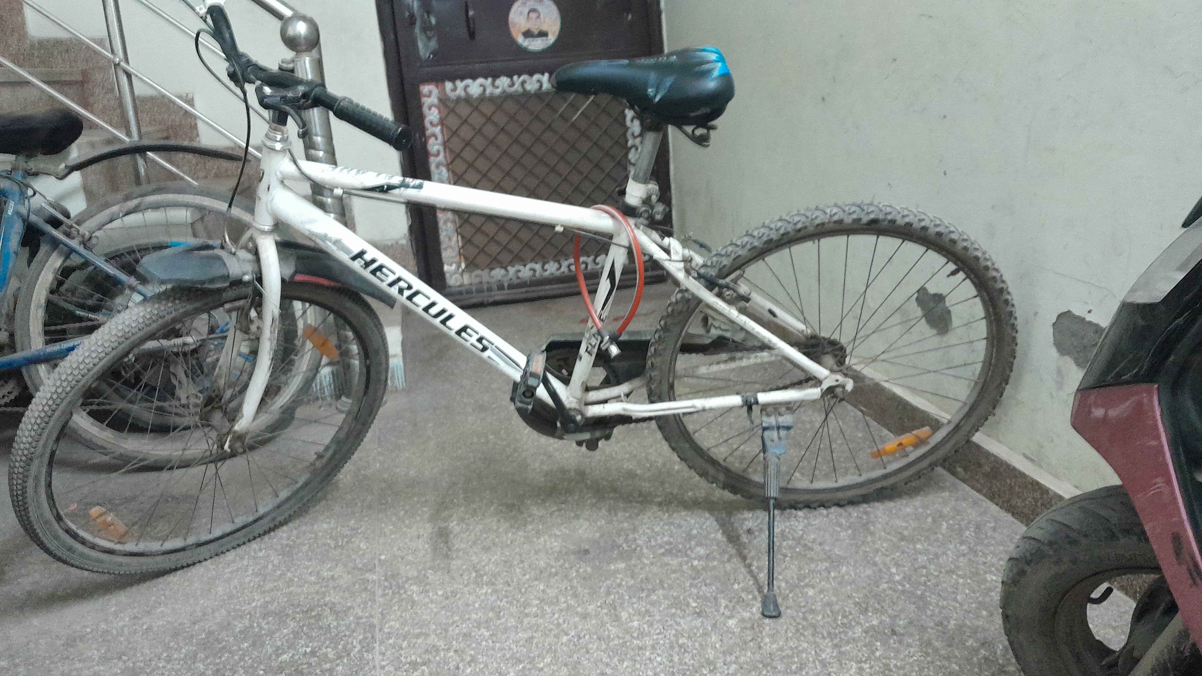 Hercules 2024 availbale for sale