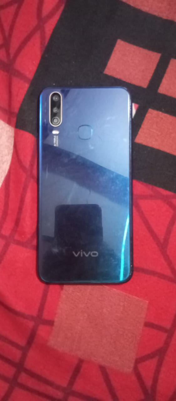 Vivo Vivo 1904 available for sale