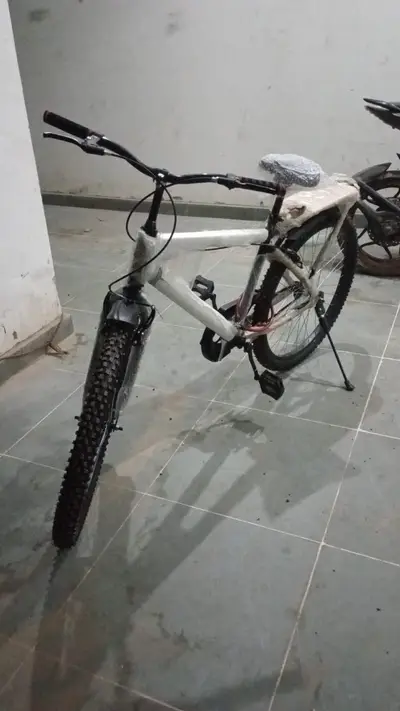 Best cycle